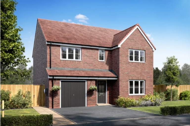 Image carousel 3569931 1774964356