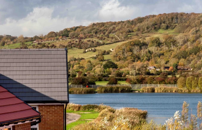 Property box 3502236 1762657304