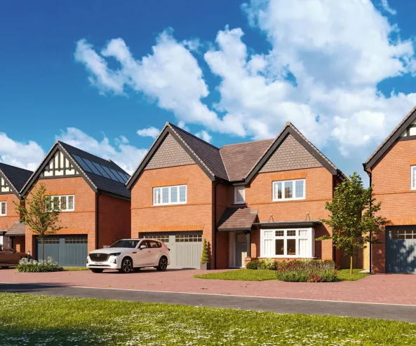 Property box 3516456 1765363381