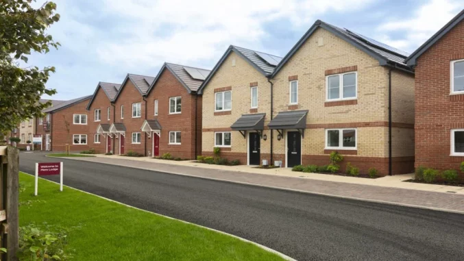 Property box 3538746 1769786811