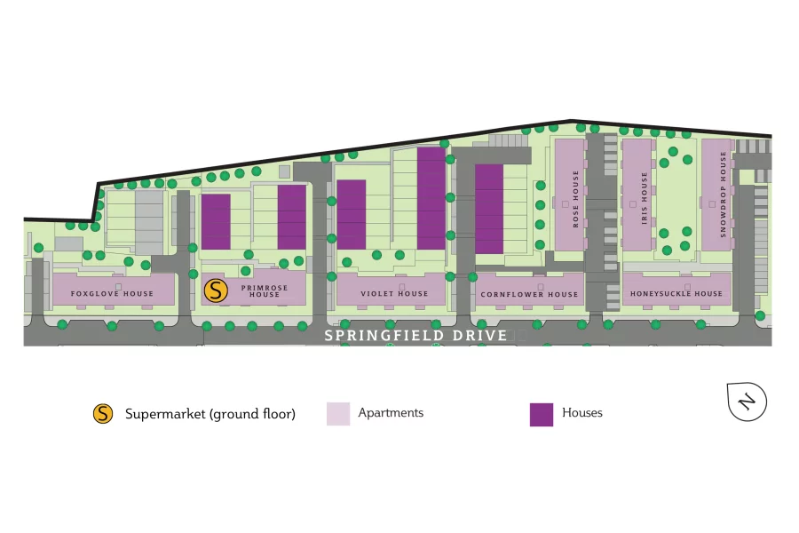 Floorplan 900 2919271 1713319346