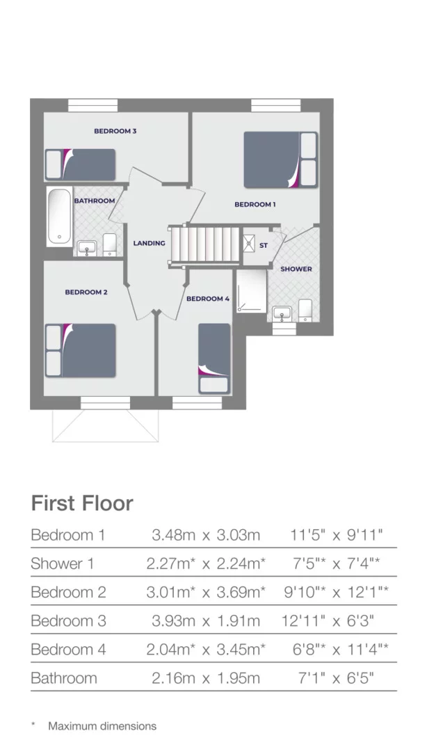 Floorplan 900 2952531 1716561119