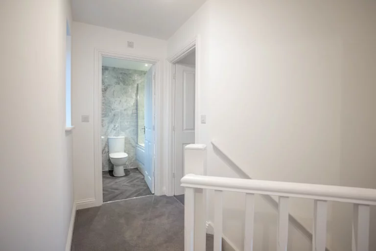 Image carousel 2774643 1700051704