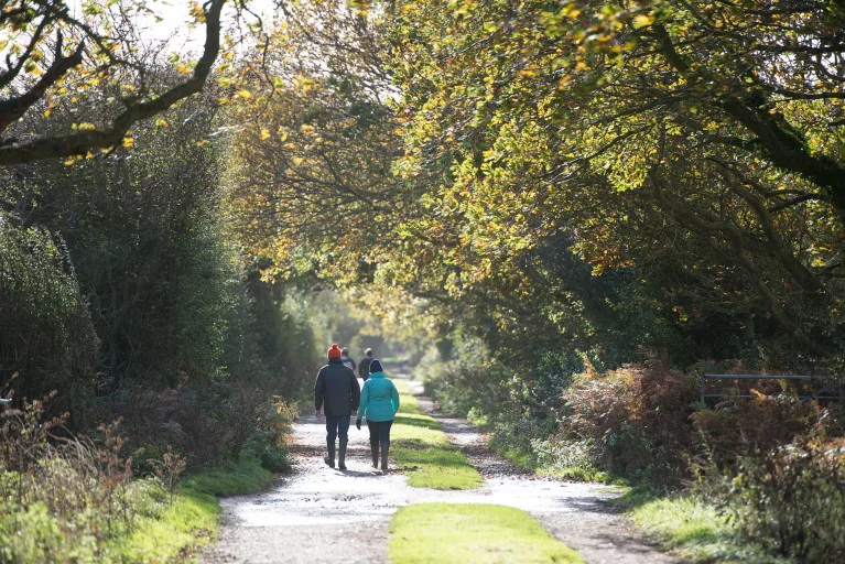 Image carousel 2818187 1701486158