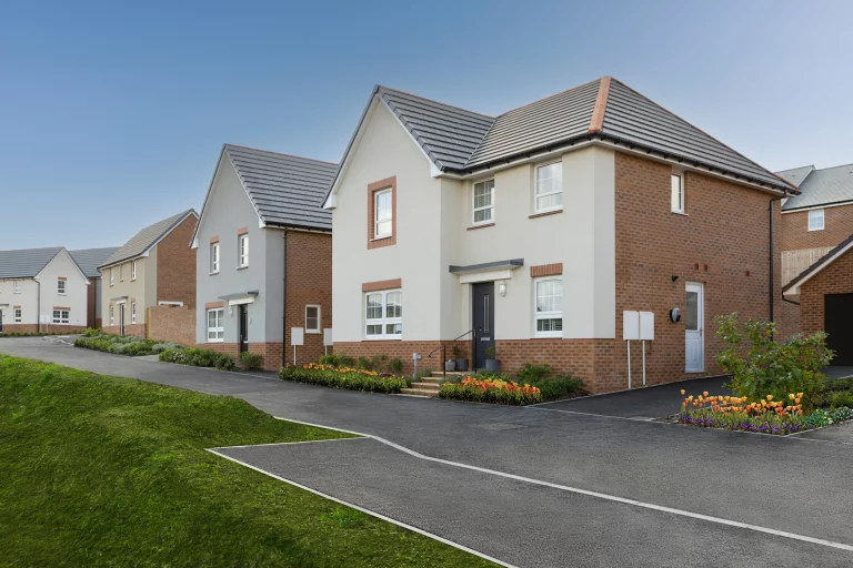 Image carousel 2906736 1712282504