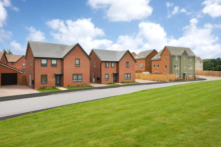 Image carousel 3054991 1725933675