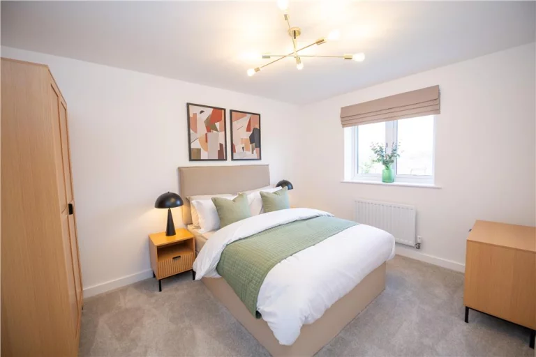 Image carousel 3113296 1772677632