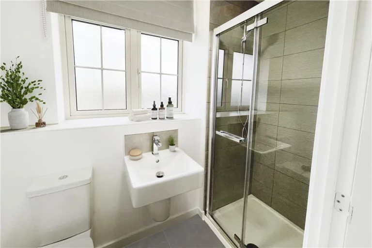 Image carousel 3222276 1773022164