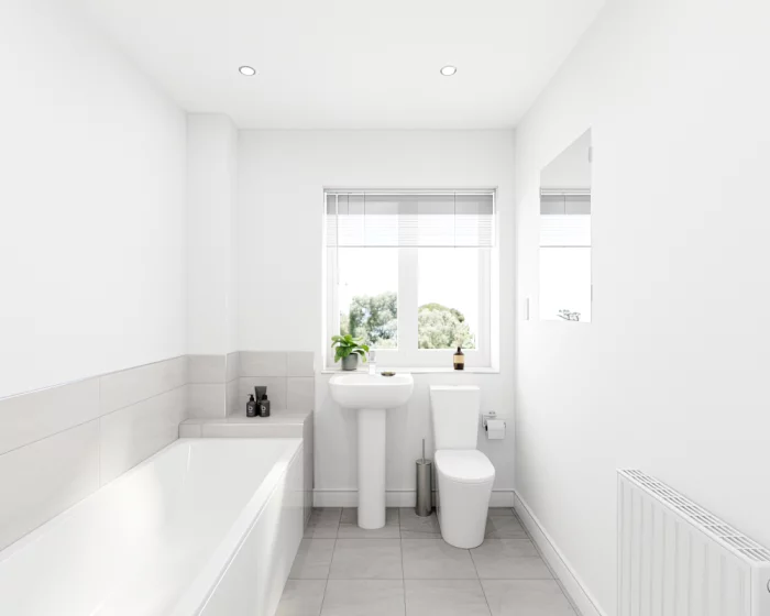 Image carousel 3227366 1743347843