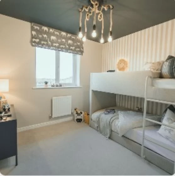 Image carousel 3244841 1745252345