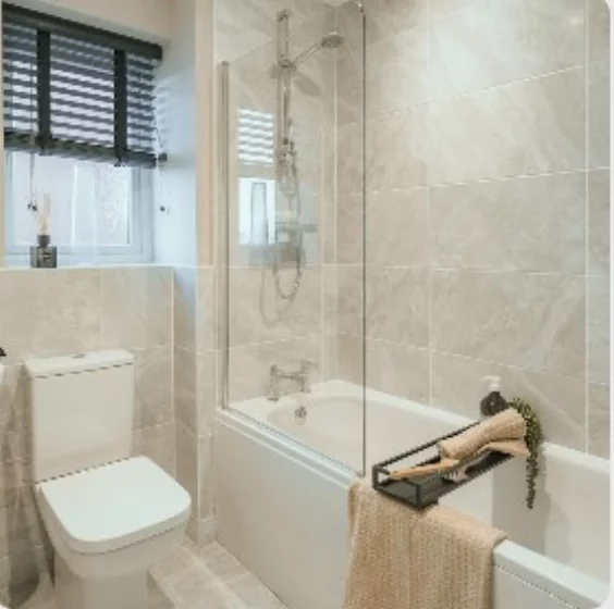 Image carousel 3244846 1745252348