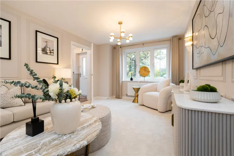 Image carousel 3255166 1764209868