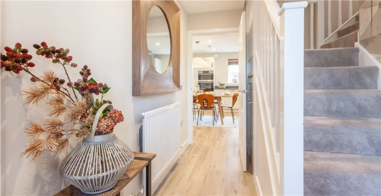 Image carousel 3302911 1764641011