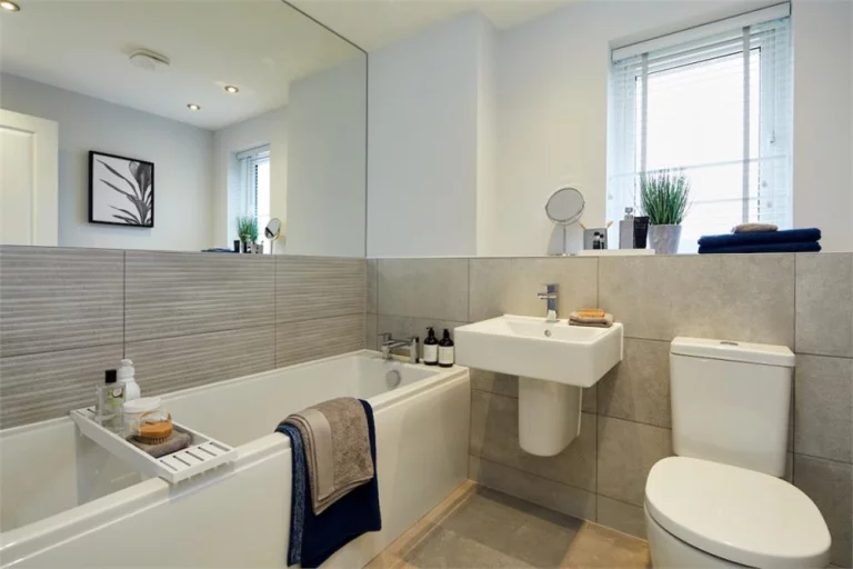 Image carousel 3305576 1750295745