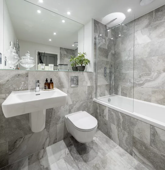 Image carousel 3479116 1762167177