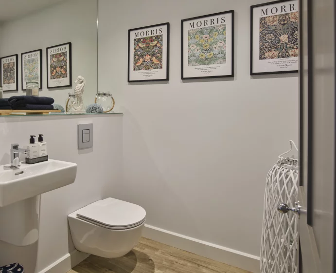 Image carousel 3479211 1762167221