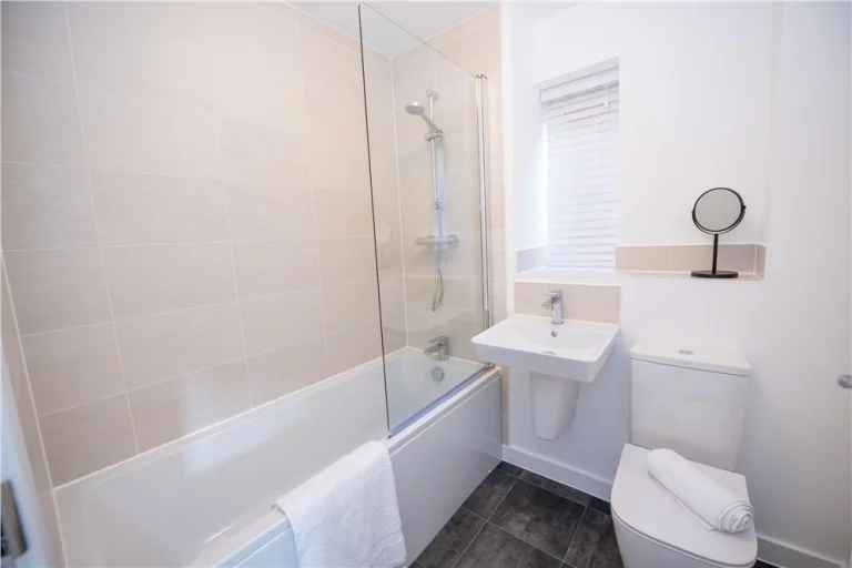 Image carousel 3481056 1772677633