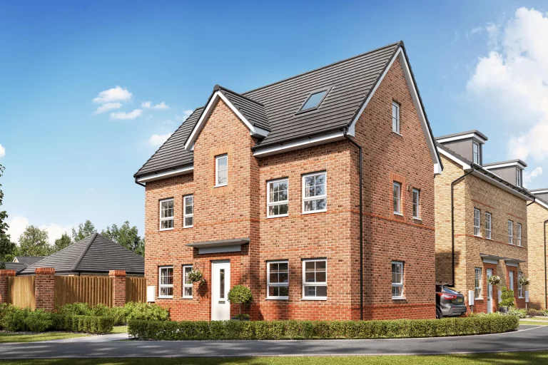 Image carousel 3486796 1760407304