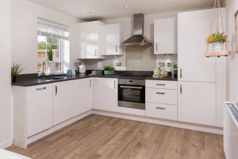 Image carousel 3486806 1760407320