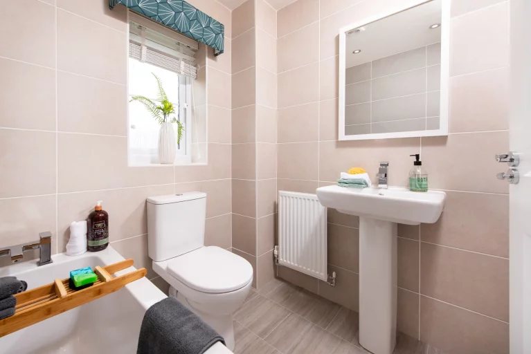 Image carousel 3486821 1760407326