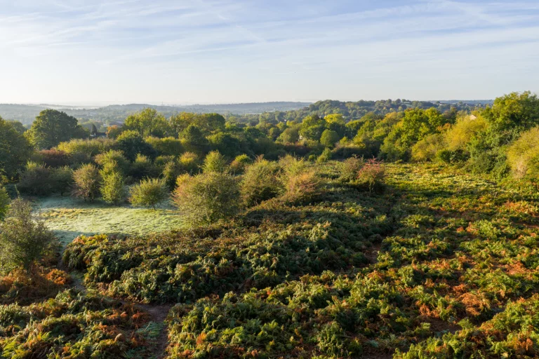 Image carousel 3490266 1760756459