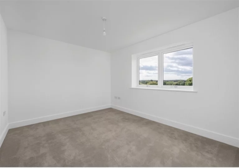 Image carousel 3491471 1760897287