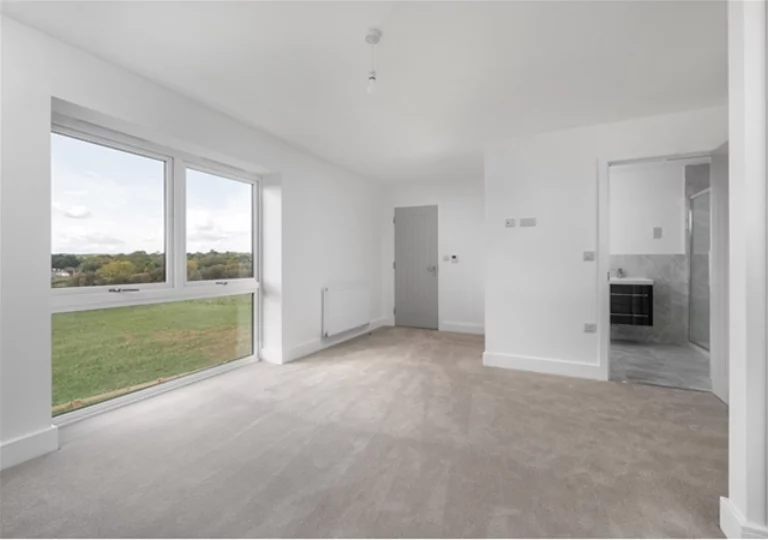 Image carousel 3491476 1760897295