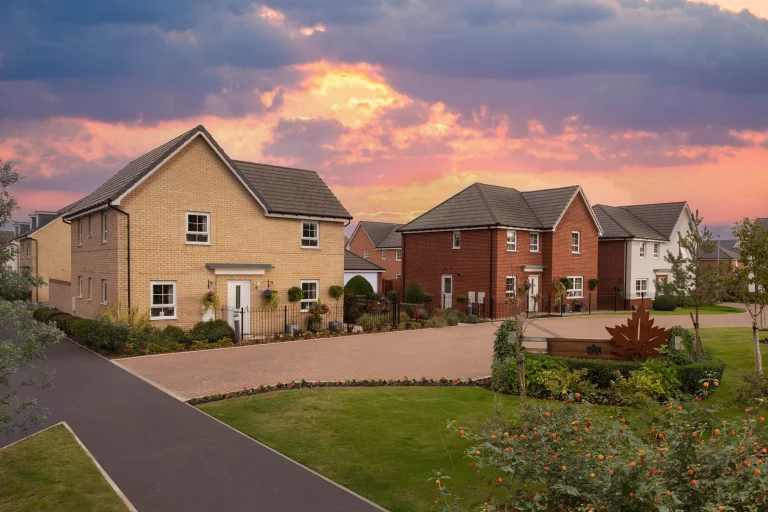 Image carousel 3492116 1761102074