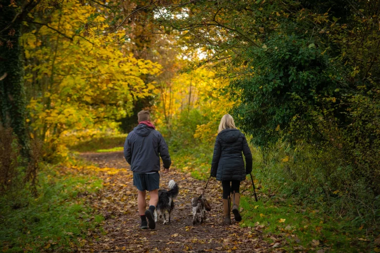 Image carousel 3492126 1761102075