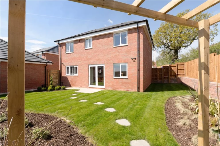 Image carousel 3494561 1761359820