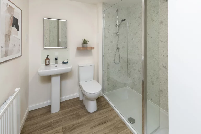 Image carousel 3496476 1761707002