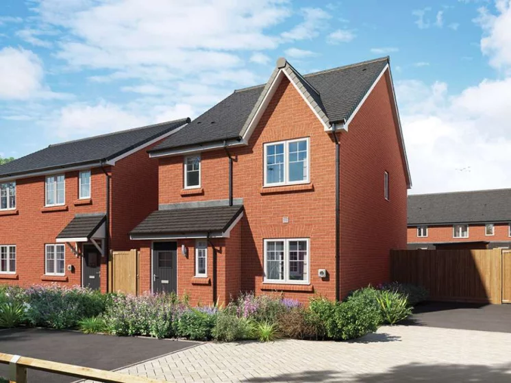 Image carousel 3496931 1761789669