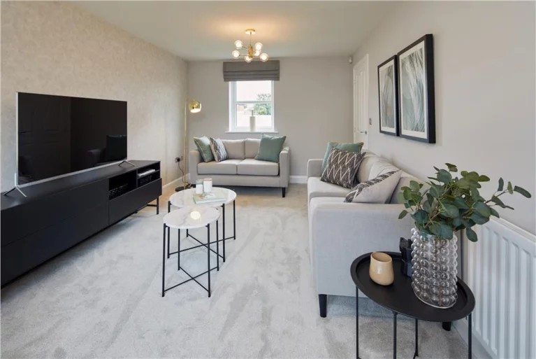 Image carousel 3497541 1762049204