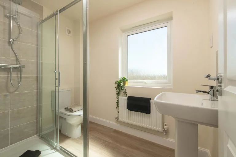 Image carousel 3497911 1762052574