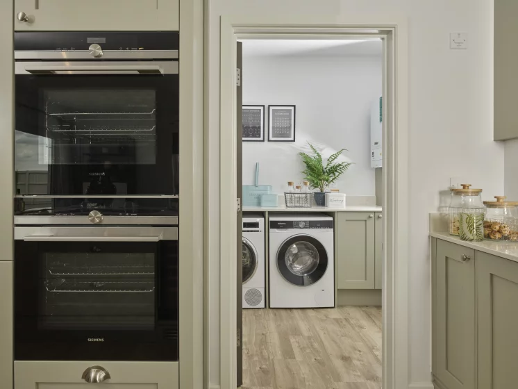 Image carousel 3498516 1762167131