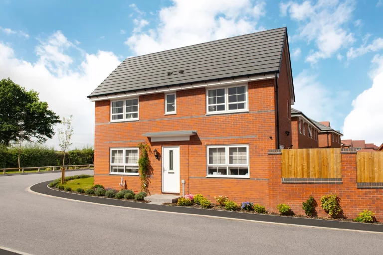 Image carousel 3498656 1762225385