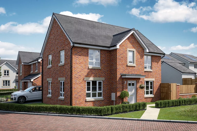 Image carousel 3498661 1762225399