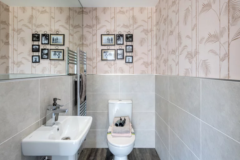 Image carousel 3498666 1762225400