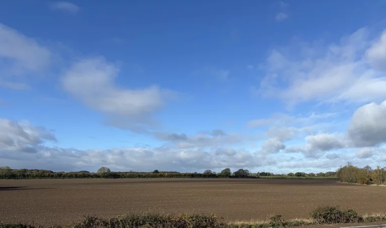 Image carousel 3499741 1762398088