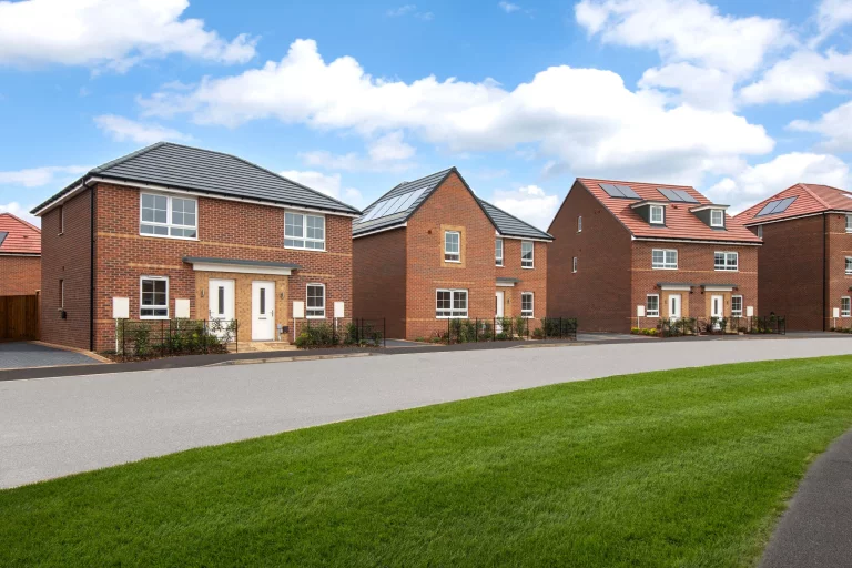 Image carousel 3501081 1762484464