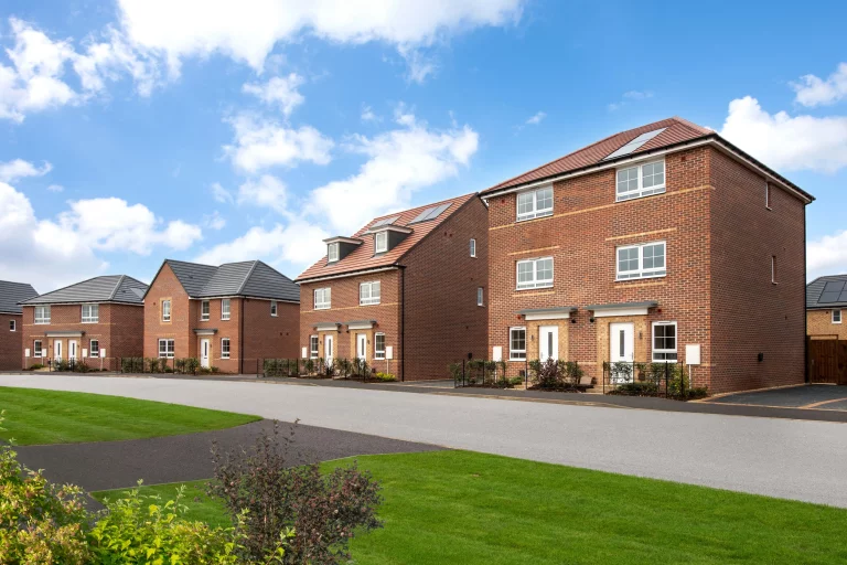 Image carousel 3501086 1762484464