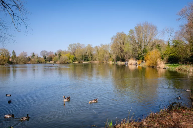 Image carousel 3501536 1762570860