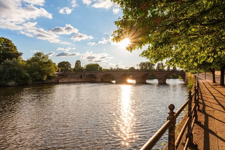 Image carousel 3501551 1762570862