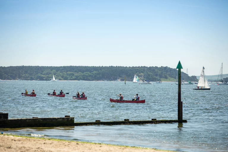 Image carousel 3501611 1762570875