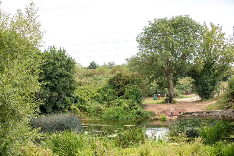 Image carousel 3501621 1762570877