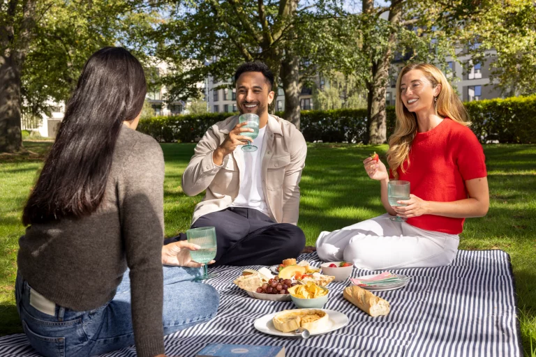 Image carousel 3501671 1762570886