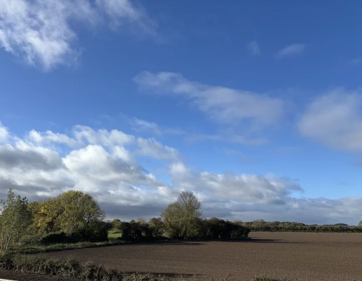 Image carousel 3501831 1762571023