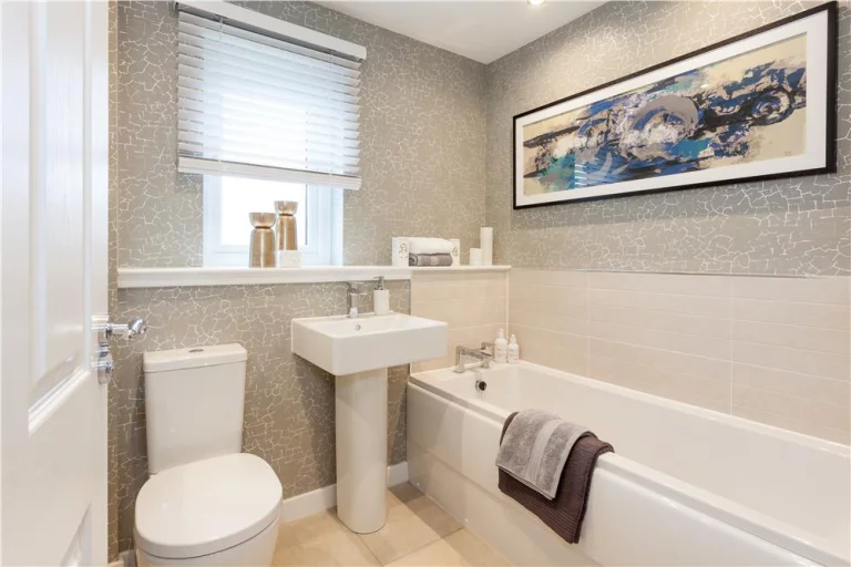 Image carousel 3502366 1762740248