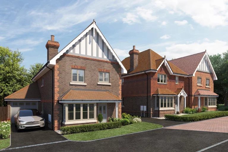 Image carousel 3502421 1762789992