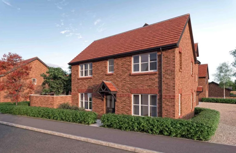 Image carousel 3502501 1762826482